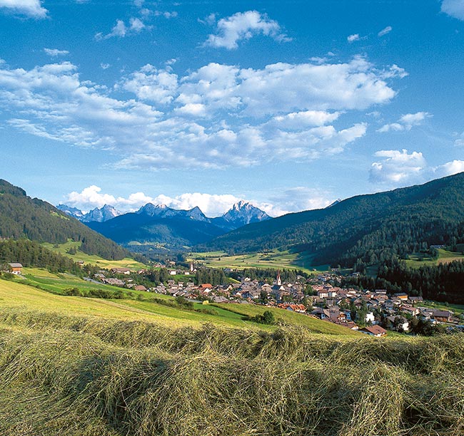 Val Pusteria, la valle verde